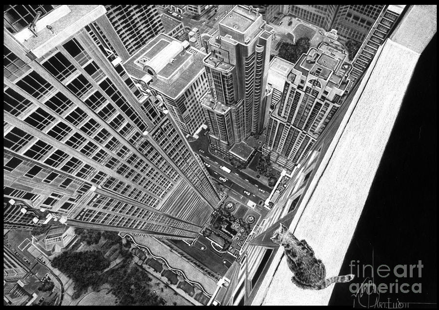 900x636 Vertigo Kitty Drawing - Vertigo Drawing