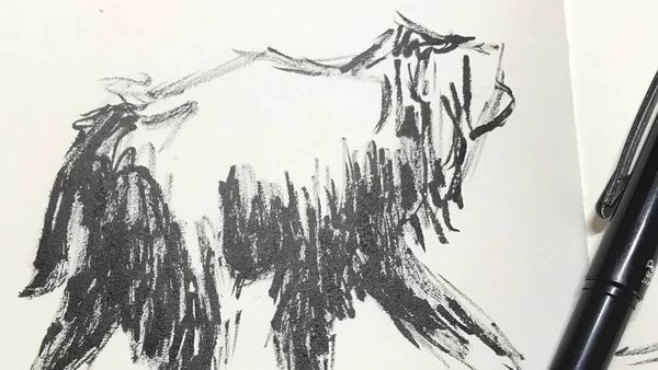 600x338 Photos - Verve Drawing