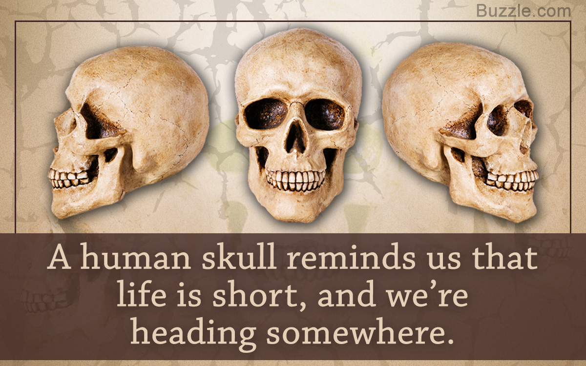 1200x750 This Will Help You Create Very Cool Evil Skull Drawings - Very Cool Drawings