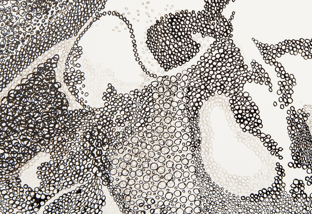 1000x687 circles, lines, and lots of patience the exquisite drawings - Very Cool Drawings