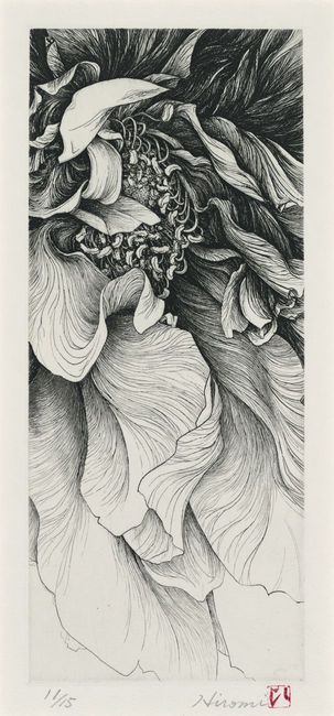 303x650 gorgeous plant drawing, i think that this is a spectacular drawing - Very Detailed Drawing