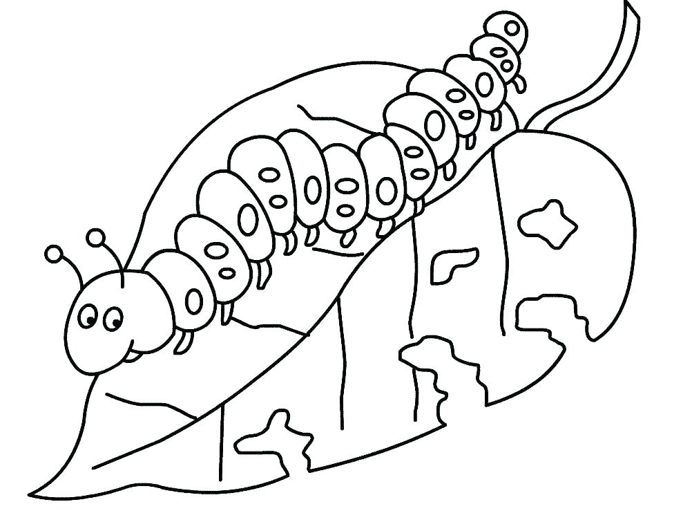 1002x768 very hungry caterpillar printable coloring sheets the very hungry - Very Hungry Caterpillar Drawing