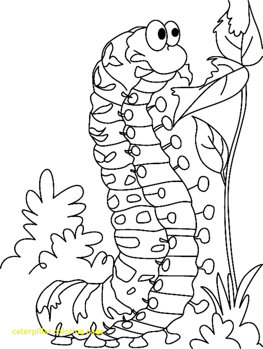 850x1127 coloring pages hungry caterpillar drawing at getdrawings com - Very Hungry Caterpillar Drawing
