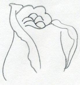 277x294 How To Draw A Rose In Few Simple Steps - Very Very Easy Drawing