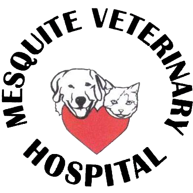 391x391 vet drawing animal lover transparent png clipart free download - Veterinarian Drawing