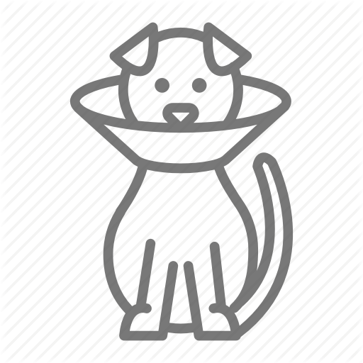 512x512 Vet Drawing Dog Transparent Png Clipart Free Download - Veterinarian Drawing