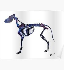 210x230 Veterinarian Drawing Gifts Merchandise Redbubble - Veterinarian Drawing