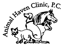 251x183 Veterinarian In Farmington, Nm Animal Haven Clinic - Veterinarian Drawing