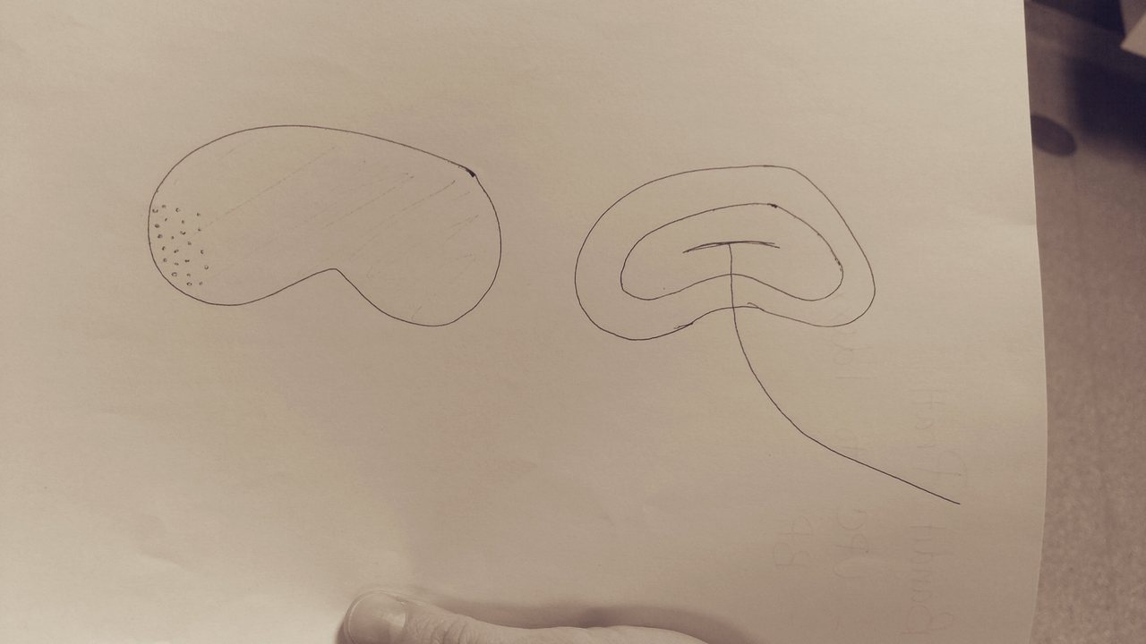 1280x720 vet tech problems guess the veterinarian drawing! - Veterinarian Drawing