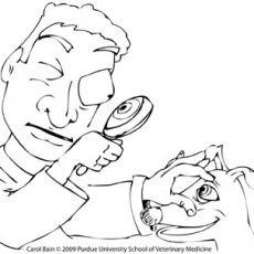 230x230 classy idea veterinarian coloring - Veterinarian Drawing