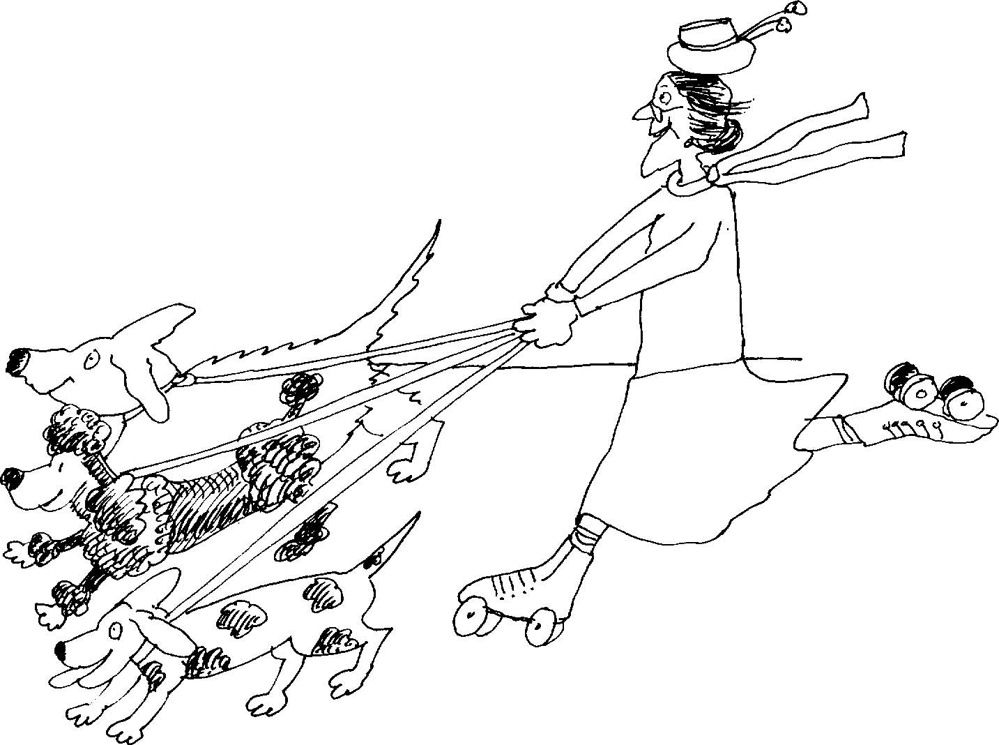 1433x1068 Dog Law State And Local Regulation Gt Leash Laws Doglaw - Vicious Dog Drawing