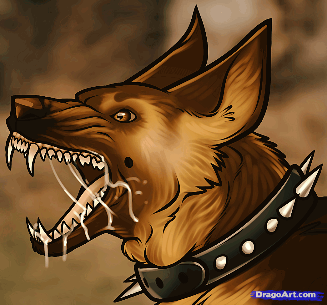 1046x975 How To Draw A Guard Dog, Step - Vicious Dog Drawing