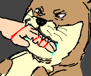 300x250 Vicious Dog Bites Someone's Hand Drawing - Vicious Dog Drawing