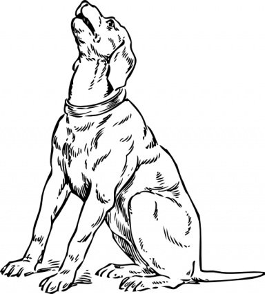 384x425 Watch Dogs Clipart Vicious Dog - Vicious Dog Drawing