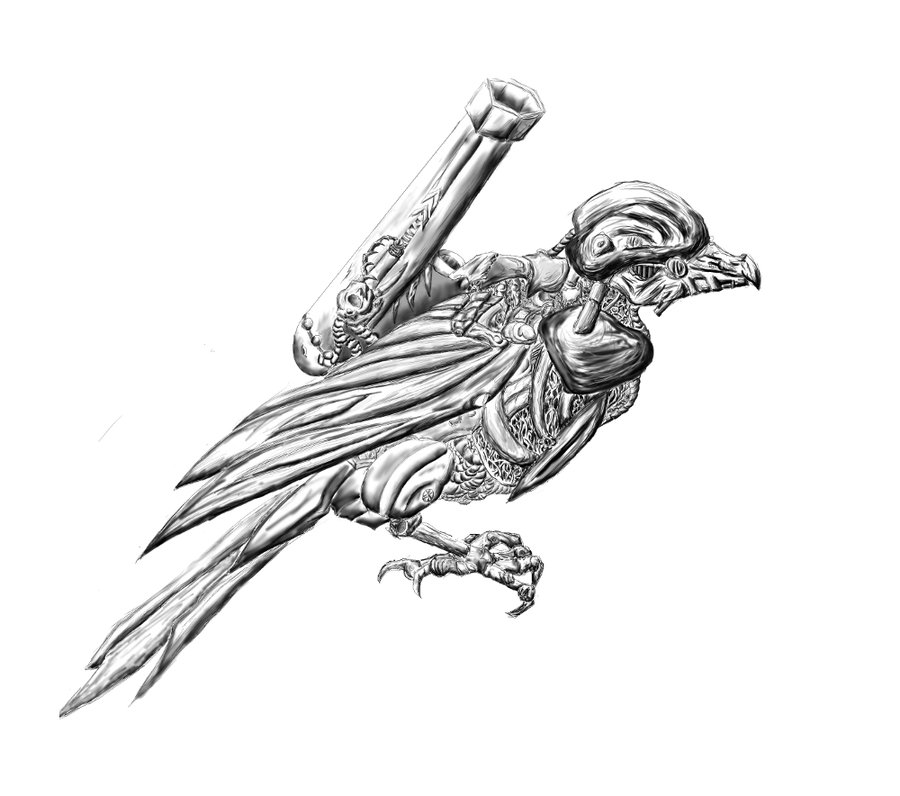 900x796 Bird Drawing Free Download - Victorian Bird Drawings