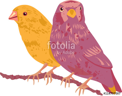 500x395 victorian couple of birds, golden yellow and purple, vector draw - Victorian Bird Drawings