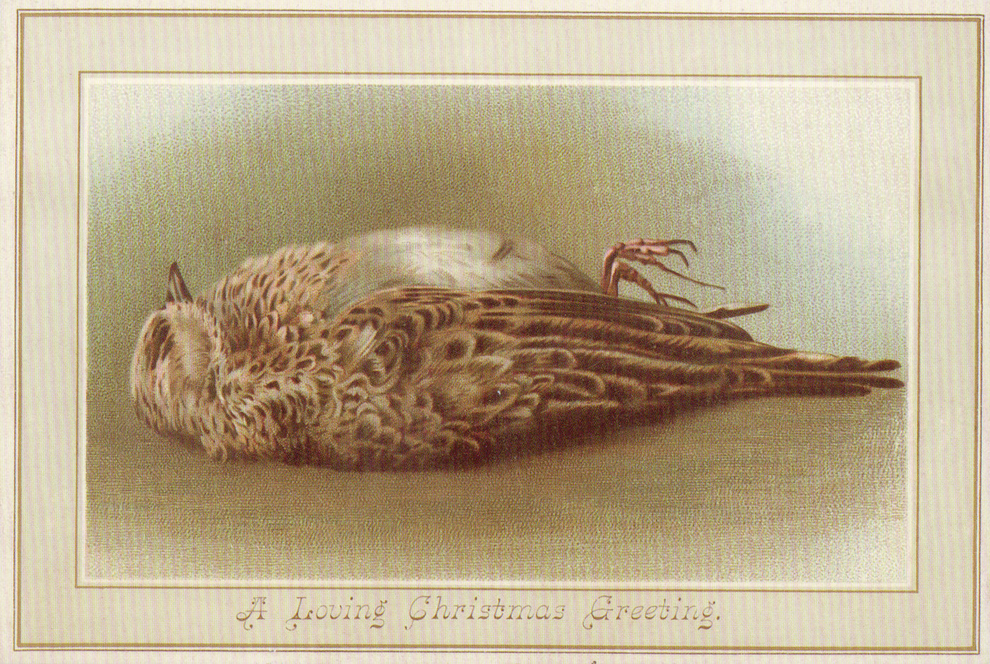 1400x939 why are there dead birds on victorian christmas cards - Victorian Bird Drawings