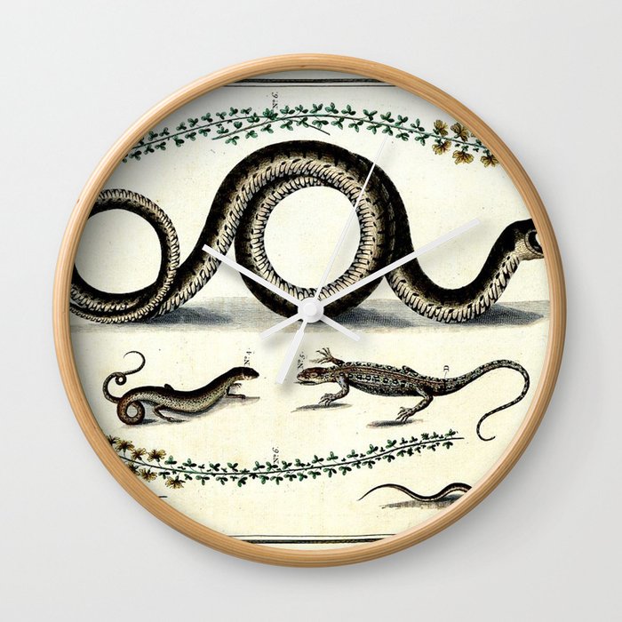 700x700 Antique Lizard And Snake Vintage Nature Book Plate Drawing - Victorian Clock Drawing