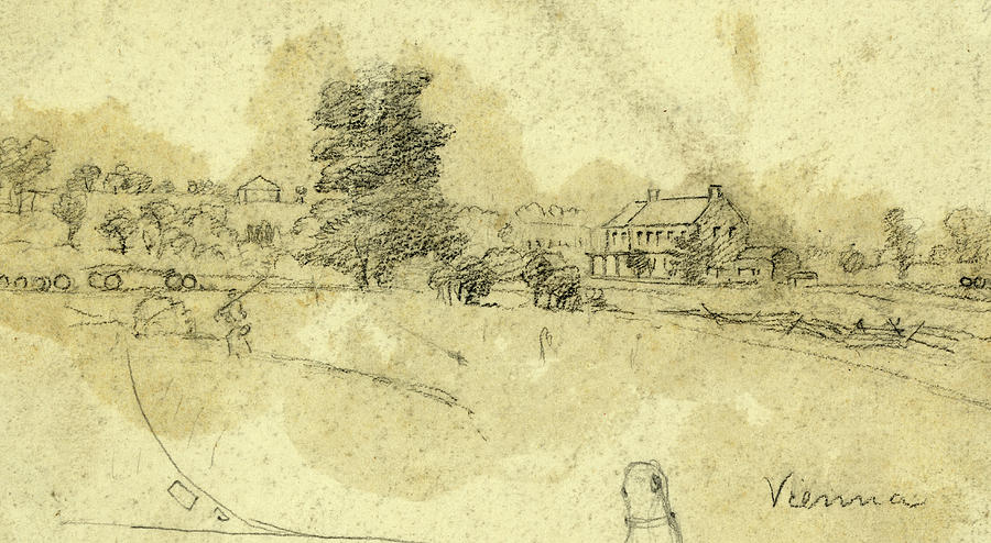 900x494 vienna, between and drawing on cream paper pencil - Vienna Drawing