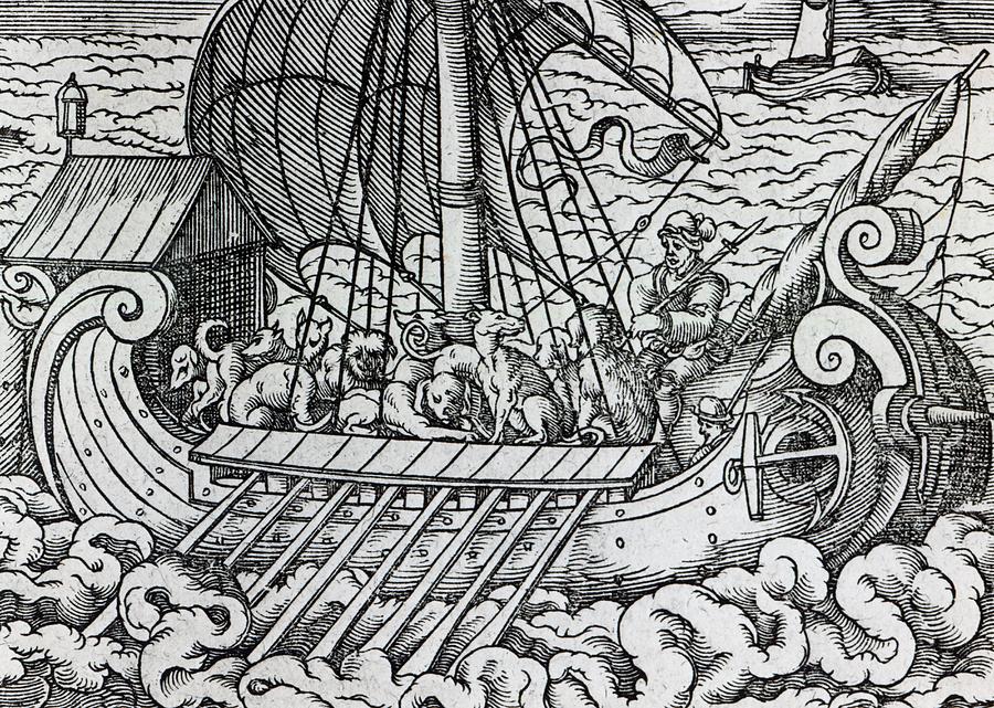 900x641 viking ship drawing - Viking Boat Drawing