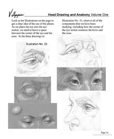 vilppu animal drawing manual pdf