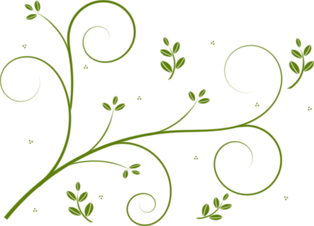 1041x750 Flower Designs Vine Drawing Flowering Plant Cc0 - Vine Drawing Designs