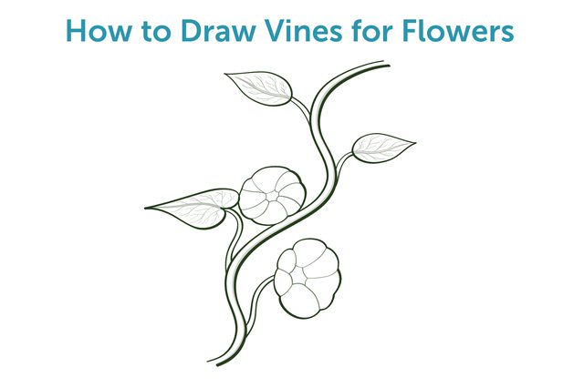 640x426 How To Draw Vines For Flowers - Vine Drawing Designs
