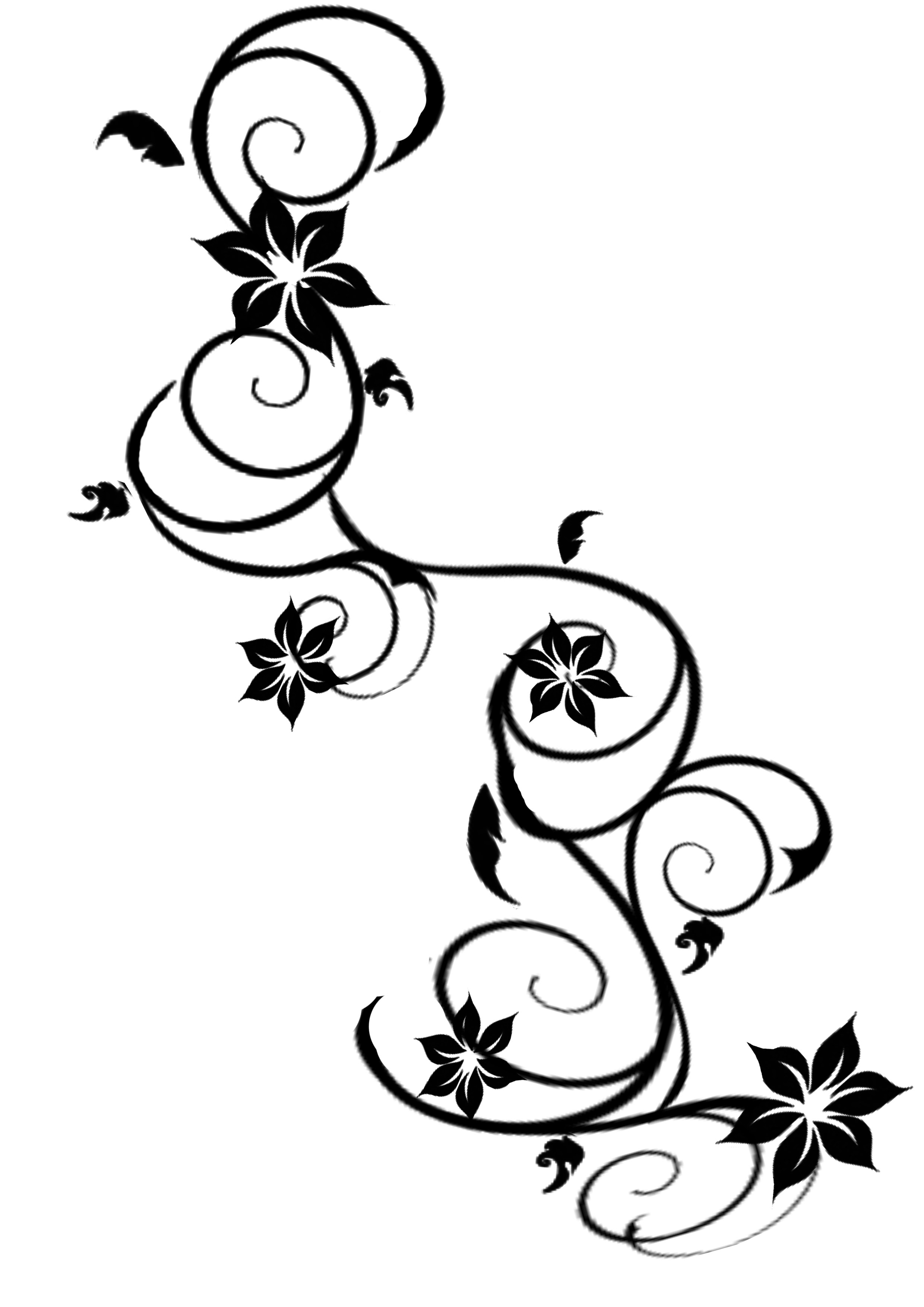 2480x3508 Flowers Vines Design Graphics Images - Vine Drawing Designs