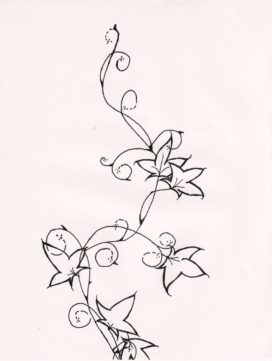 900x1194 poison ivy vine drawing ivy tattoo drawings ivy tattoo - Vine Drawing Designs