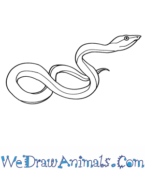 300x350 How To Draw A Green Vine Snake - Vine Line Drawing