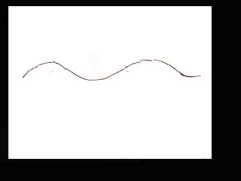 480x360 How To Draw Vines Step - Vine Line Drawing