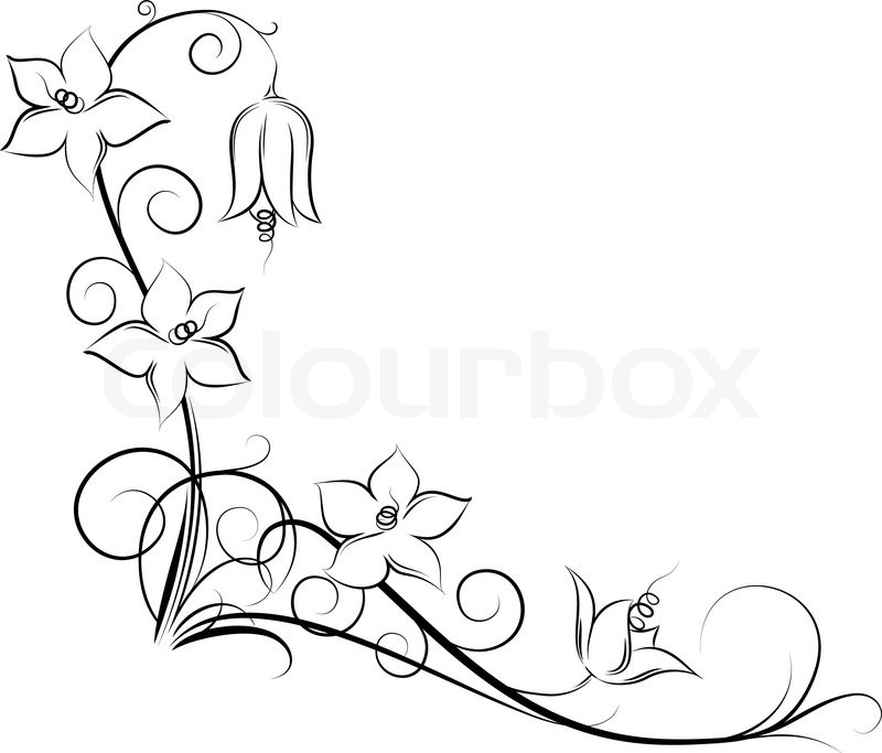 800x683 Vine Drawing Free Download - Vine Line Drawing