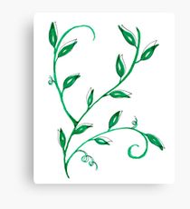 210x230 plant vines drawing canvas prints redbubble - Vines Drawing