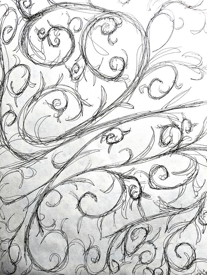 678x900 vines drawing - Vines Drawing