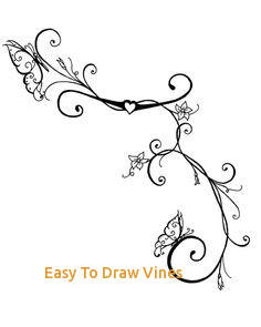 236x295 easy to draw vines images about vine tattoos - Vines Drawing