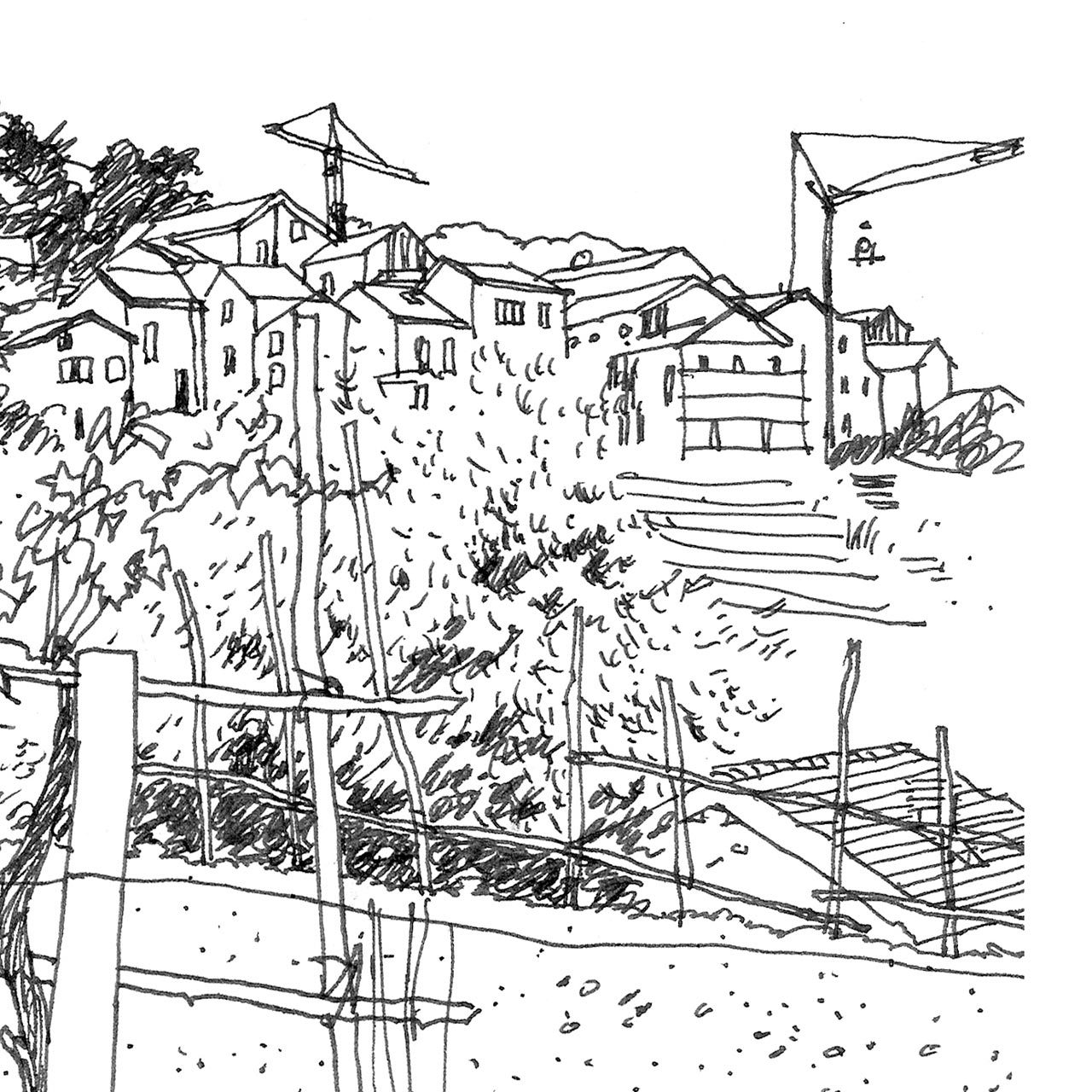 1280x1280 The Printed Home 'vineyard' Drawing, Hand Drawn Art Print - Vineyard Drawing
