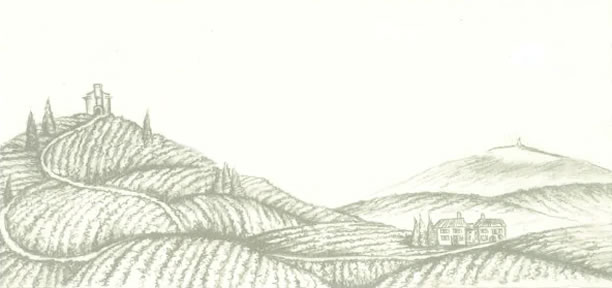 612x288 The Vineyard Domaine Des Anges - Vineyard Drawing