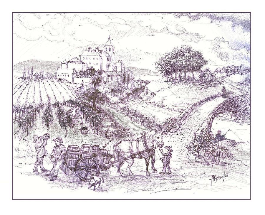 900x733 Vineyard Drawing - Vineyard Drawing