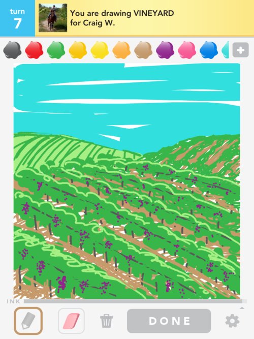 500x667 Vineyard Drawings - Vineyard Drawing