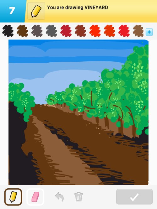 500x667 Vineyard Drawings - Vineyard Drawing