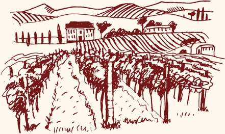 441x263 Vineyard Vector Free Vector Download - Vineyard Drawing