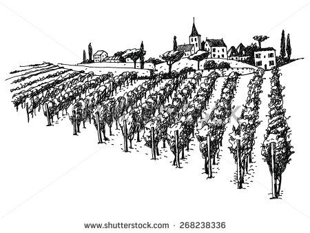 450x338 Pen And Ink Sketching, French Vineyard - Vineyard Drawing