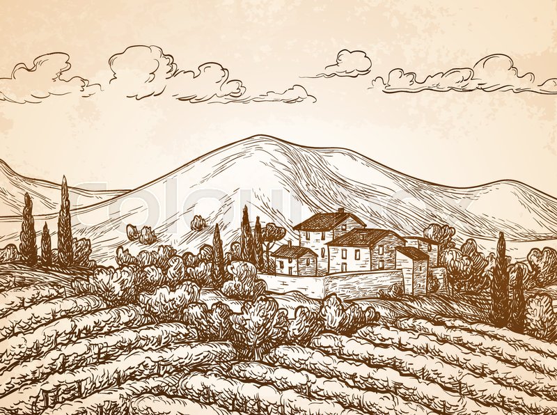 Vineyard Drawing at Explore collection of Vineyard