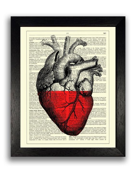 570x728 half full heart vintage wall decal anatomical heart drawing etsy - Vintage Anatomical Heart Drawing