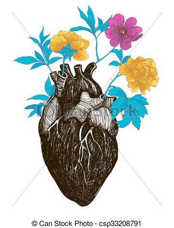 360x470 human anatomical heart whith flowers isolated on white background - Vintage Anatomical Heart Drawing