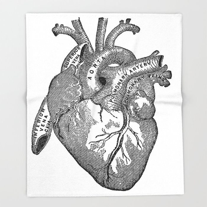 700x700 Vintage Anatomy Heart Throw Blanket - Vintage Anatomical Heart Drawing