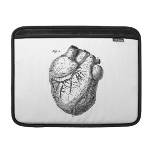 307x307 Vintage Anatomy Laptop Sleeves Zazzle - Vintage Anatomical Heart Drawing