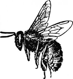 236x257 Vintage Bee Drawing Clipart - Vintage Bee Drawing