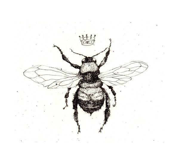 600x550 bee happy kitchen gardens bee drawing, bee tattoo, queen bee - Vintage Bee Drawing