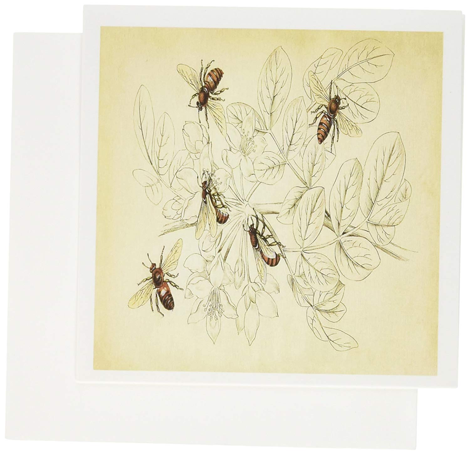 1500x1453 Vintage Bee Drawing - Vintage Bee Drawing